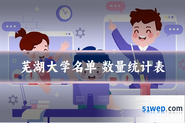 芜湖大学名单 数量统计表