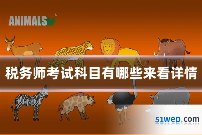 税务师考试科目有哪些来看详情