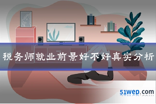 税务师就业前景好不好真实分析