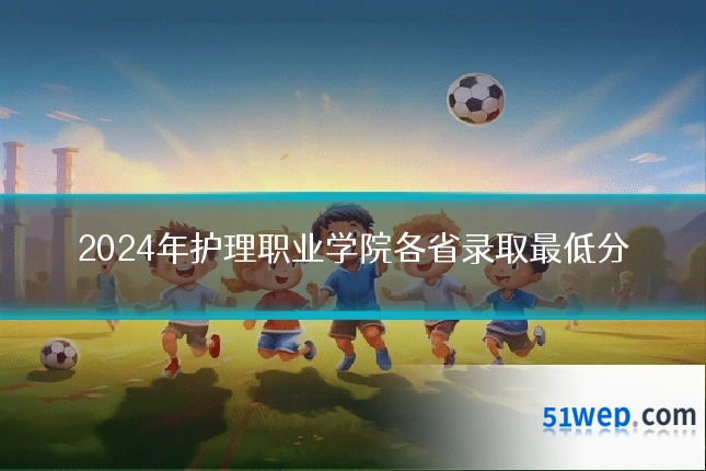 2024年护理职业学院各省录取最低分