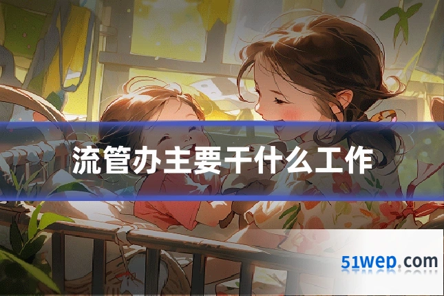 流管办主要干什么工作