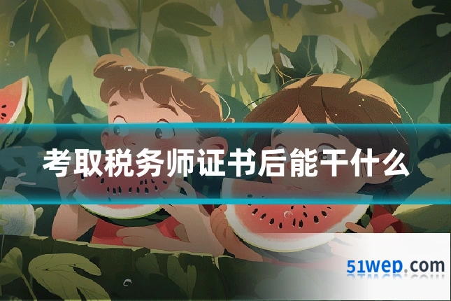 考取税务师证书后能干什么