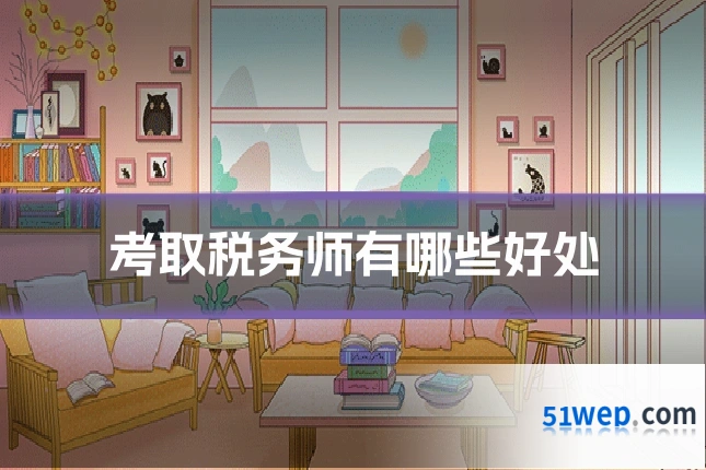 考取税务师有哪些好处