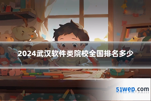 2024武汉软件类院校全国排名多少