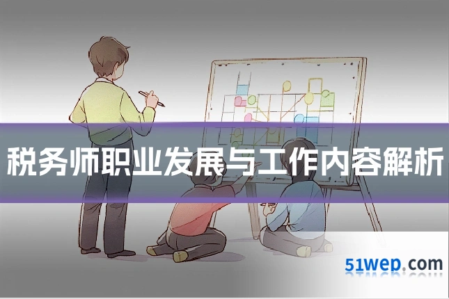 税务师职业发展与工作内容解析