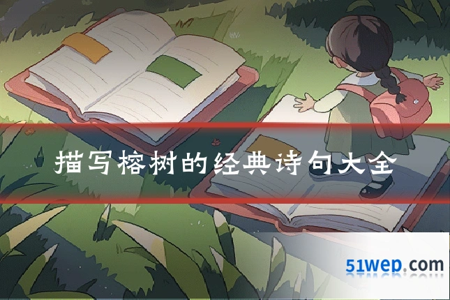 描写榕树的经典诗句大全