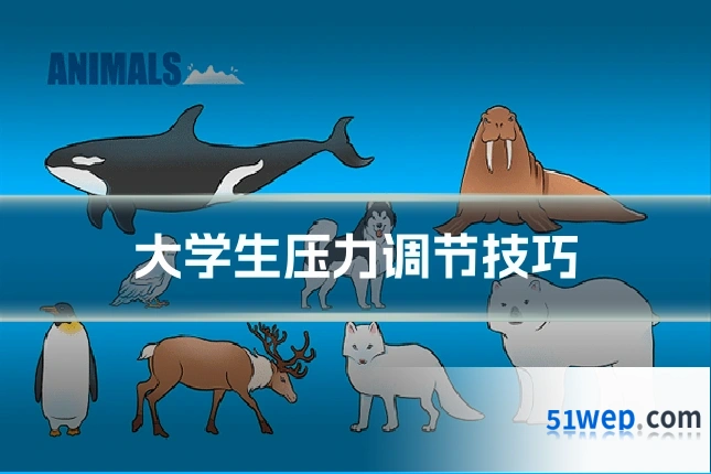 大学生压力调节技巧