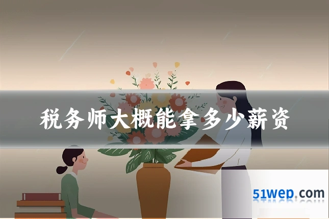 税务师大概能拿多少薪资