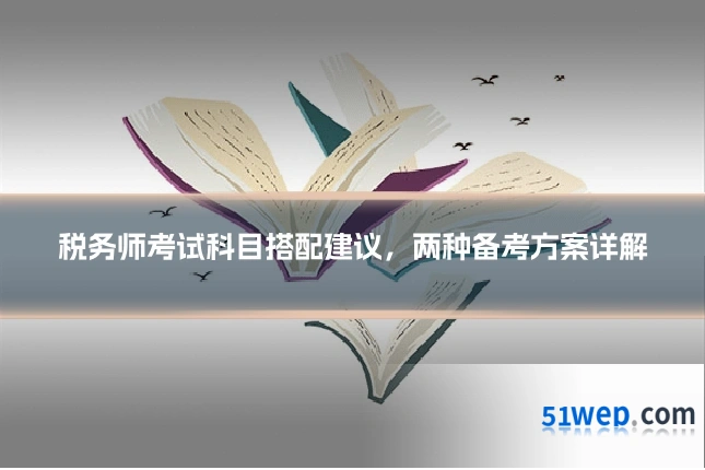 税务师考试科目搭配建议,两种备考方案详解