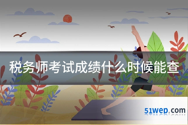 税务师考试成绩什么时候能查