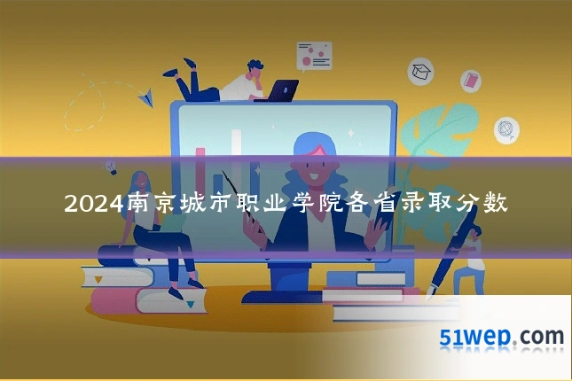 2024南京城市职业学院各省录取分数