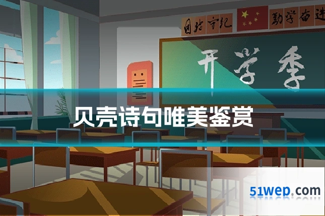 贝壳诗句唯美鉴赏