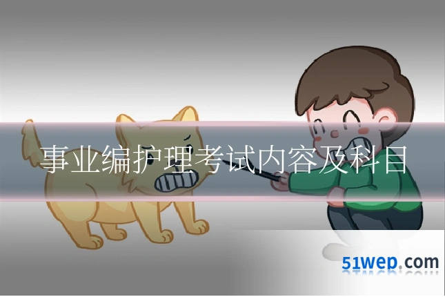 事业编护理考试内容及科目