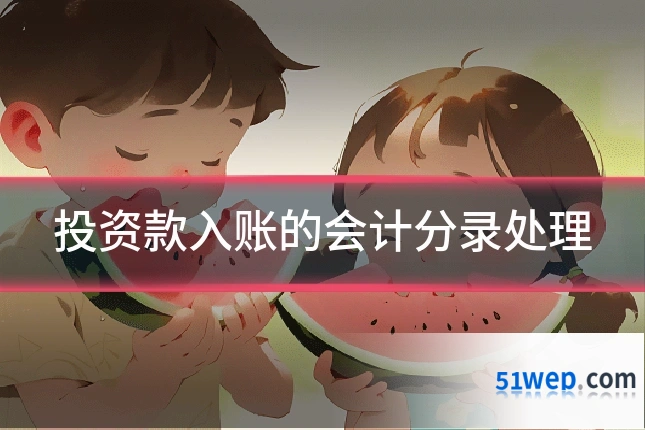 投资款入账的会计分录处理