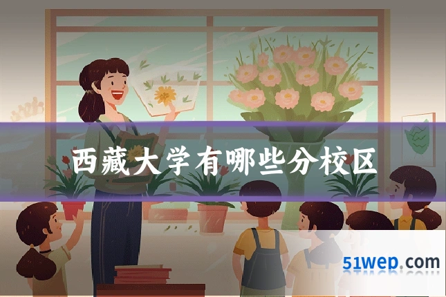 西藏大学有哪些分校区