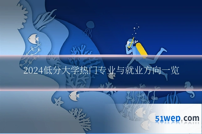 2024低分大学热门专业与就业方向一览